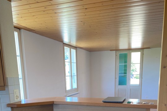 Wohnung 1.OG Bartheke.jpg
